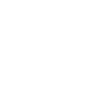 Spotify Icon